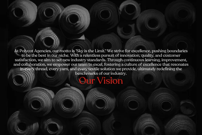 Vision of Polycot Agencies showcasing commitment to quality and innovation